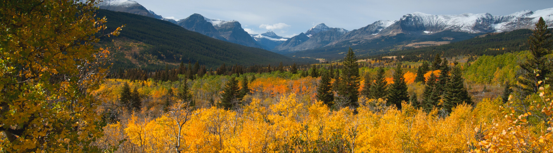 Montana Vacation Planning Guide - Travel Montana & Yellowstone