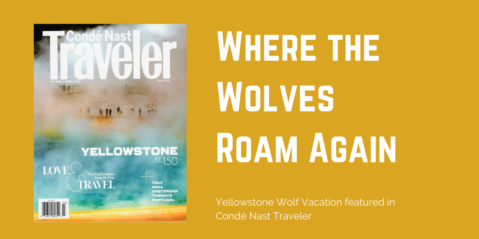 Yellowstone Wolf Vacation Featured in Condé Nast Traveler Magazine