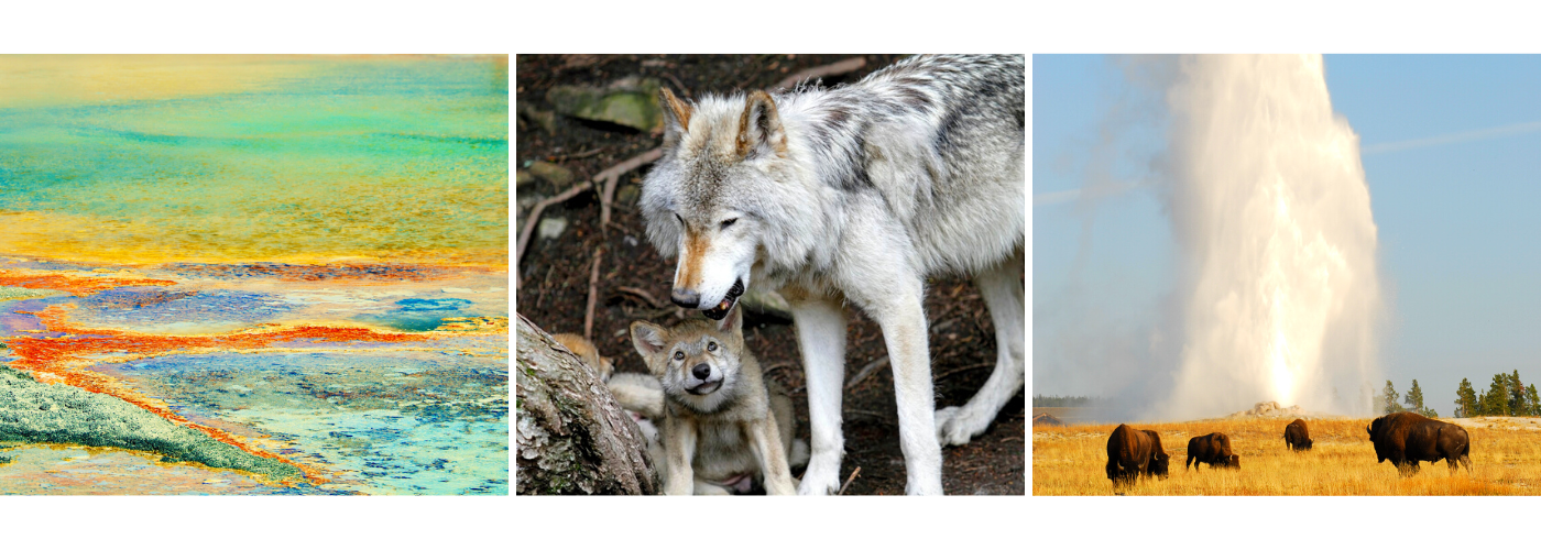 Celebrating with the Call of the Wild Getaway Giveaway